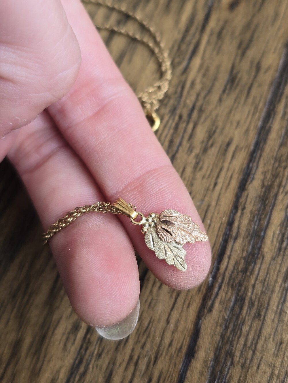 Black Hills 10k Gold Necklace with 14/20 Gold Filled Chain from Landstroms